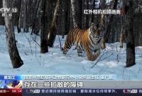 �ŚwҰ��һ�� �����_ɽ1̖���F(xi��n)����r�����