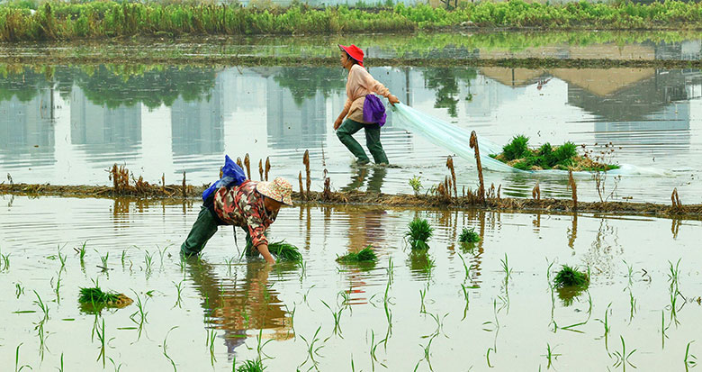 â�N���� �r(n��ng)������æ