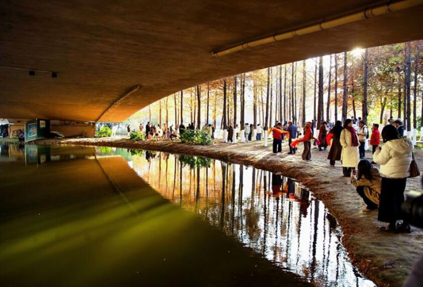 ۴�ݹ��@�tɼ��